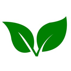 Simple Flat Two Leaves Branch Icon Sign Graphic Element