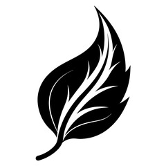 black and white feather vector