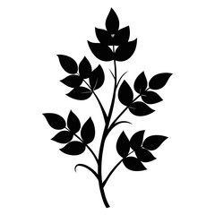 Elegant black silhouette of a delicate plant with intricate leaves