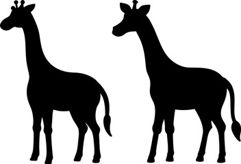 Fototapeta premium Giraffe vectors, Vector of Giraffe, A set of Giraffe animal art designs, Giraffe icon isolated