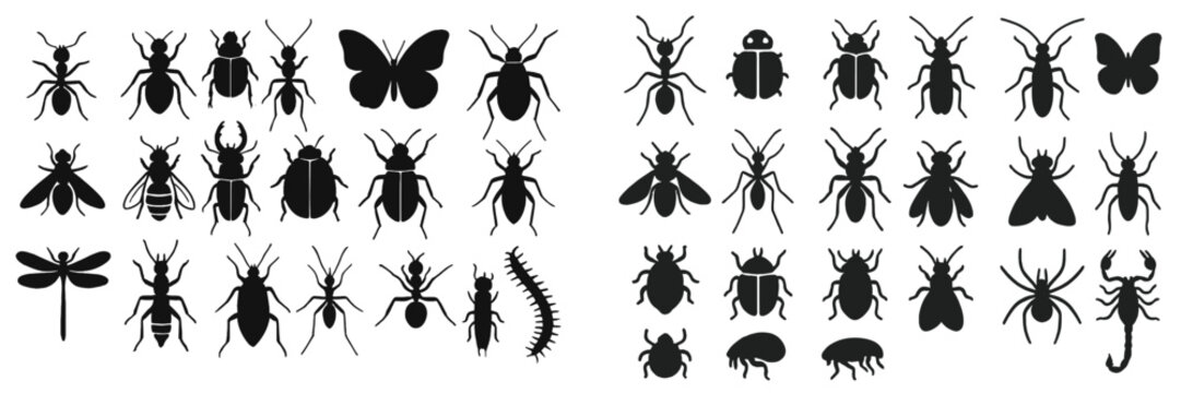 Silhouettes of various insects and arthropods organized in a systematic arrangement on a white background