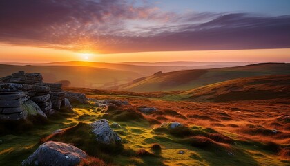 dartmoor dawn