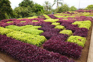 Garden art in the Funchal Botanical Garden. Madeira, Portugal.