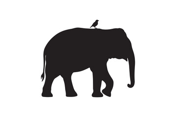 Elephant with Bird Silhouette Vector Jungle Life Elephant and Bird