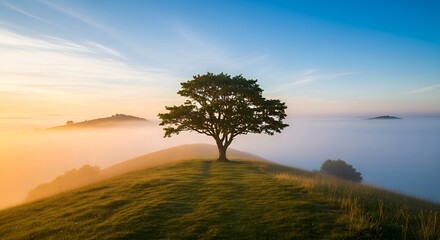 Serene sunrise with misty valleys surrounds a solitary tree on a grassy hilltop in early morning light.