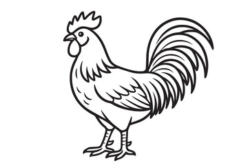 Vector illustration of a rooster in black and white, featuring thick black outlines that define its detailed plumage and confident posture.

