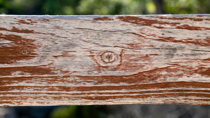 Old wood plank texture background with faded color