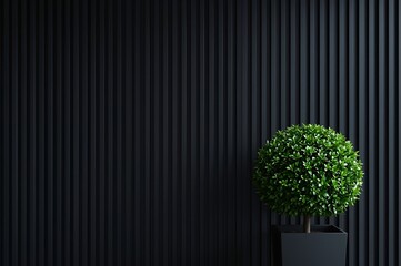 A perfectly spherical green topiary plant in a modern dark gray planter against a dark slatted wall background