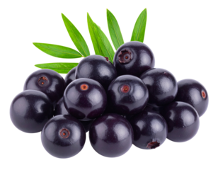 Fresh acai fruit isolated on transparent background. PNG file, cut out.