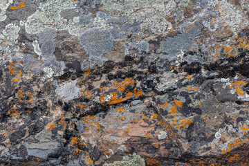 Close-up of rugged sedimentary rock covered in orange and grey-white lichens