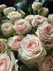 Bouquet of roses. Roses tenderness. 