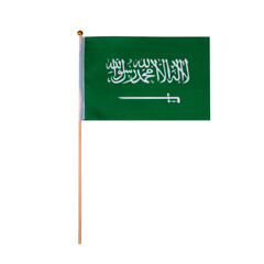 Saudi Arabia Flag on Transparent Background