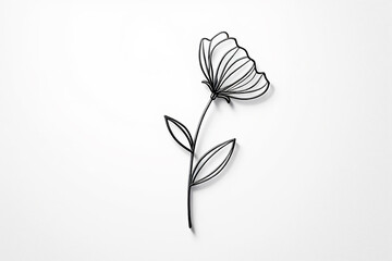 Obraz premium A delicate black outline flower with leaves isolated on white
