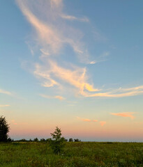 Evening sunset sky in the countryside, vertical landscape outside the city. Beauty and tenderness in nature. High quality photo