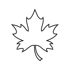 leaf icon white on background