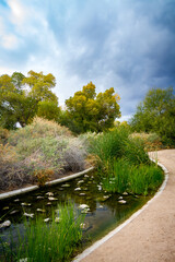 A small stream cascades through Sweetwater Wetlands in Tucson, Arizona.