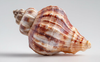 Obraz premium Isolated Everyday Object on White Background – Photorealistic Product Image