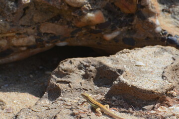 pedra furada - jericoacora