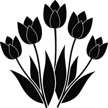 black and white tulips
