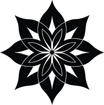 black and white flower 