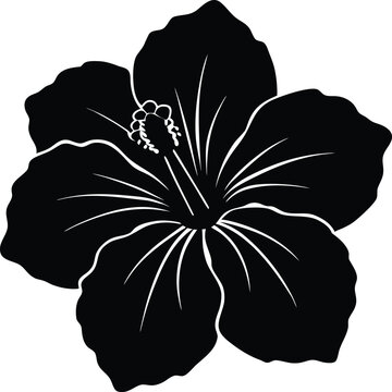 hibiscus flower silhouette