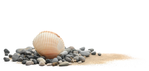 Sea shell and stone in sand pile isolated on white, side view	