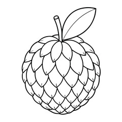 lychee fruit outline vector on white background
