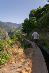 Levada walk through forest in Madeira Vertical