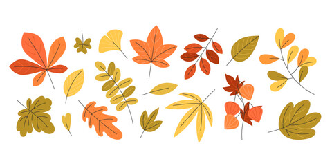 Set of autumn leaves in green yellow orange and red flat style