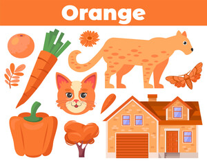 35 - Kids color cards