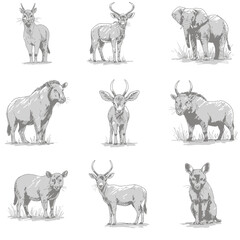 Varied animal sketches exhibit distinct features on white background. Wildlife illustration concept
