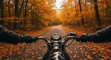 Motorcycle journey amidst the colorful autumn leaves winding through the forest road