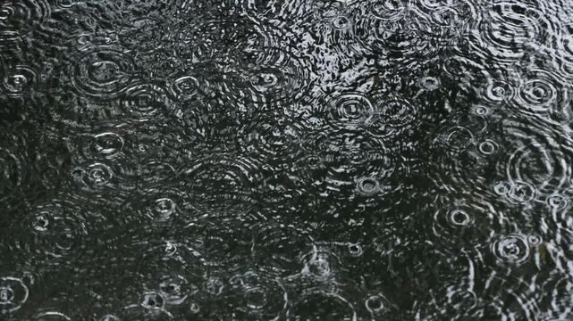 Rain Ripples on Dark Water. Countless rain droplets disturb the dark water surface, forming overlapping ripples. A mesmerizing close-up of rainfall in motion.
