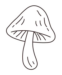 mushroom vector illustration of a mushroom