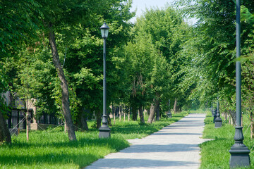 A straight paved alley lined with elegant lampposts and lush green trees in a summer city park, creating a serene setting for leisurely strolls and outdoor relaxation. Photo