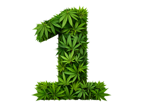 Number 1 Made from Fresh Cannabis Leaves in Natural Green Tones, isolated on transparent background
