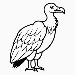eagle on white background