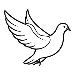dove of peace vector