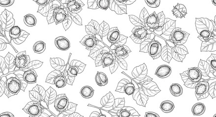 Delicate hand drawn macadamia nuts and leaves seamless pattern illustration for natural food packaging and kitchen decor
