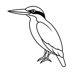 vector illustration of a bird
