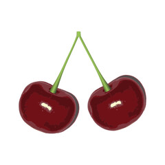  Fresh red cherries on white background. Perfect for seasonal food designs, product packaging, wellness themes. Vector Not AI generated