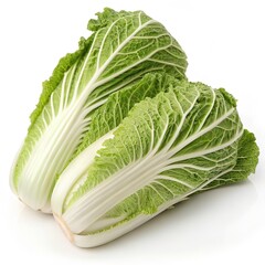 Fresh green napa cabbage with prominent white veins and crisp textured leaves arranged in a fan shape image
