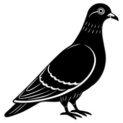 Fototapeta premium dove of peace