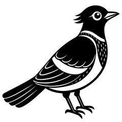 Obraz premium bird on a branch