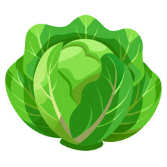 cabbage leaf icon
