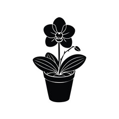 A captivating black and white silhouette of an elegant orchid plant