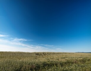 Fototapeta premium blue and clear sky no clouds