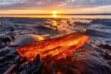 amber in the mudflats at sunset