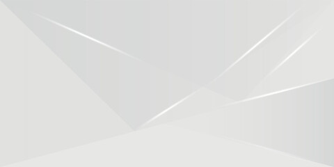 Obraz premium Abstract white and gray background. smooth abstract background, blurred pattern. vector eps 10