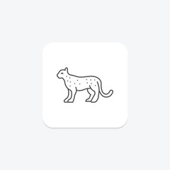 Snow Leopard, vector, pixel perfect, illustrator file